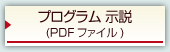 vO  PDF